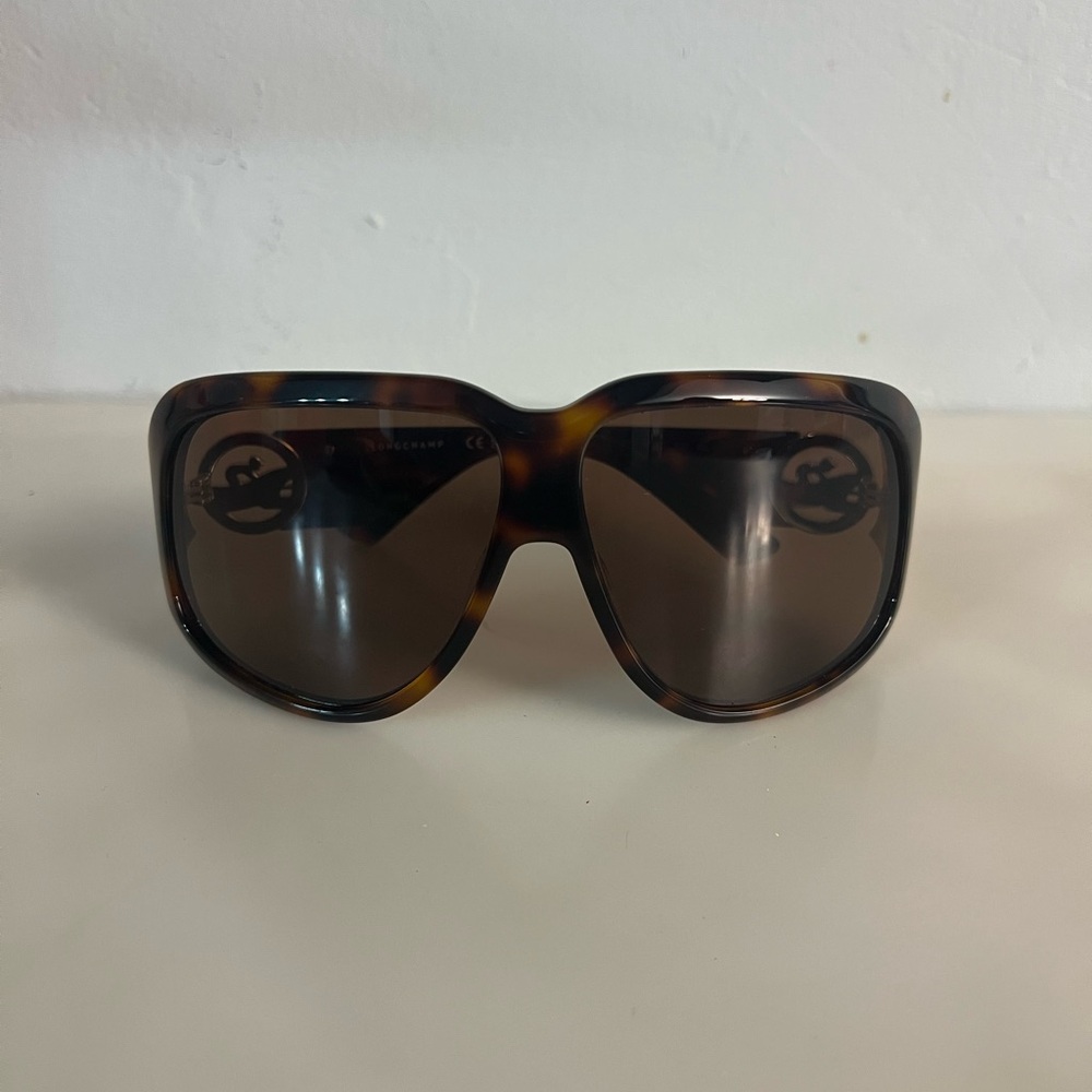 Long Champ big aviators